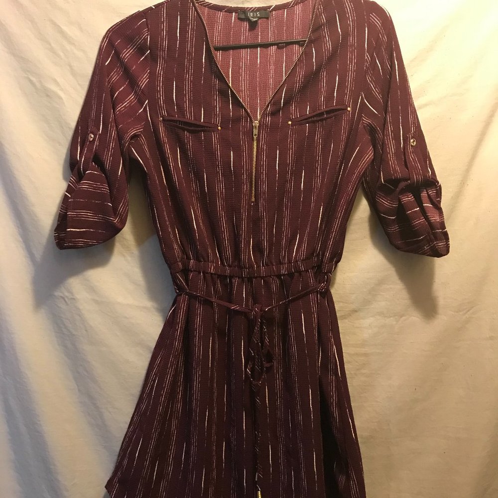 Stripped Burgundy Dress - Like New